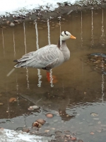 Событие